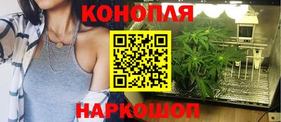 мдпв Партизанск
