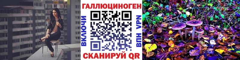 kraken ссылки  наркошоп  Новозыбков  Галлюциногенные грибы ЛСД 