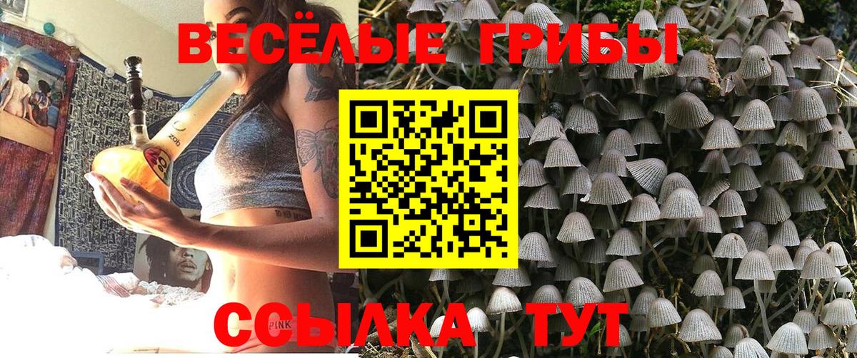 Псилоцибиновые грибы мухоморы Новозыбков