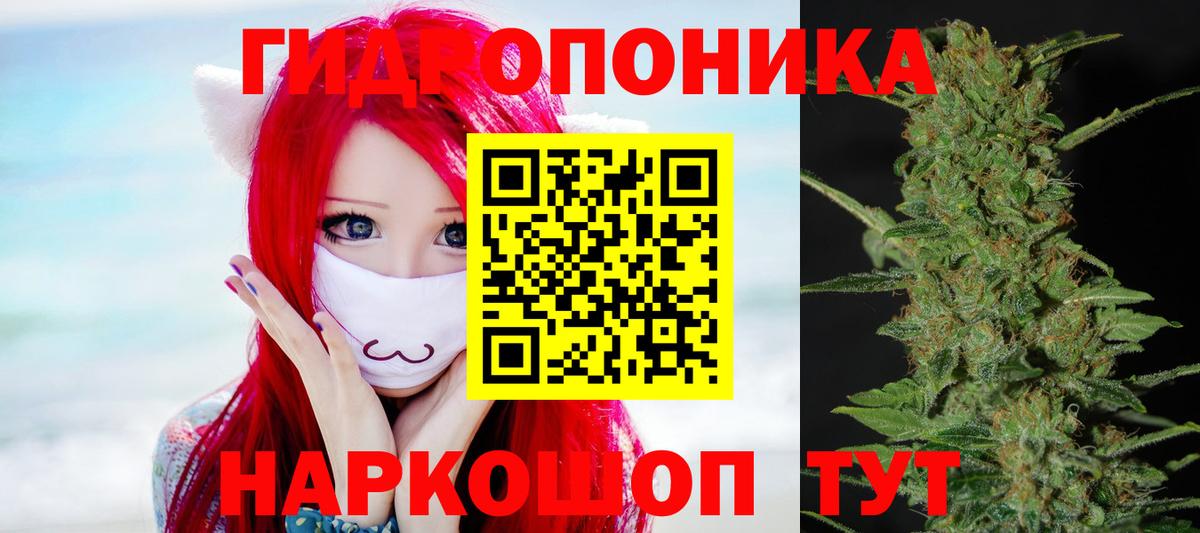 Каннабис сатива  Вход с VPN  Каннабис AK-47  Конопля индика  Канабис Bruce Banner  Новозыбков 